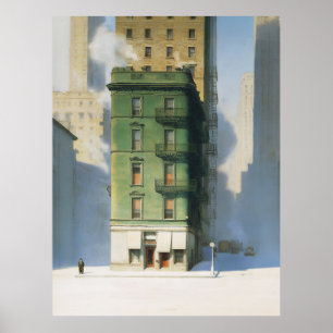 Grünes Gebäude in New York im Winter Poster