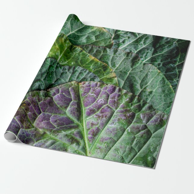 Grünes Gemüse Geschenkpapier (Ungerollt)