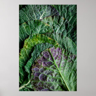 Grünes Gemüse Poster