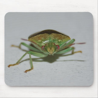 Grünes Gestank-Wanze mousepad