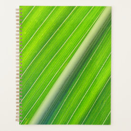 Grünes, gestreiftes Muster Planer