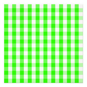 Grünes Gingham-Neonmuster durch Shirley Taylor Fotodruck