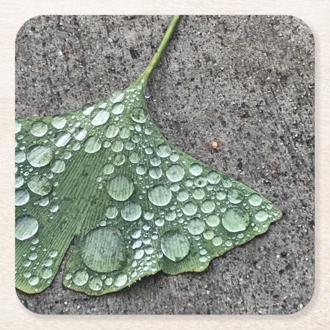 Grünes Ginko-Leaf mit Wassertropfen Rechteckiger Pappuntersetzer (Vorderseite)