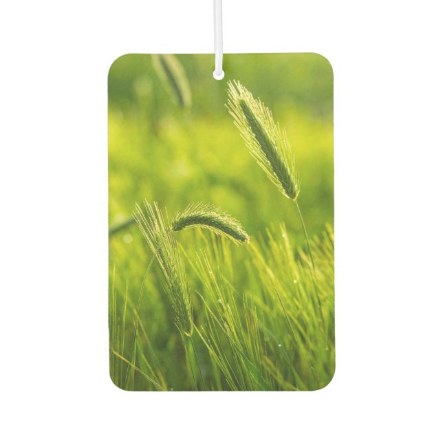 grünes Gras Autolufterfrischer (Vorderseite)
