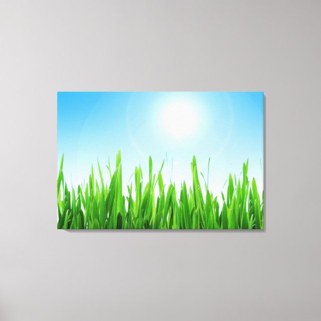 Grünes Gras Blaue Himmel Landschaft-10826 Leinwanddruck (Vorderseite)
