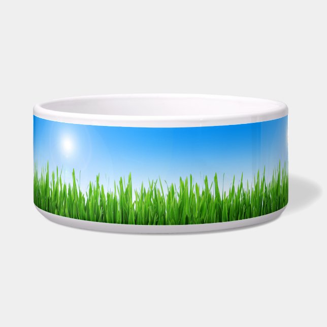 Grünes Gras Blaue Himmel Landschaft-10826 Napf (Vorderseite)