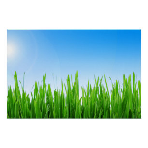 Grünes Gras Blaue Himmel Landschaft-10826 Poster