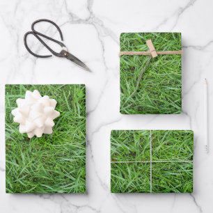 Grünes Gras Geschenkpapier Set