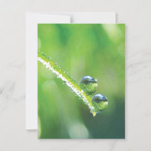 Grünes Gras mit Tiefenabfällen, die die Erde refle Postkarte