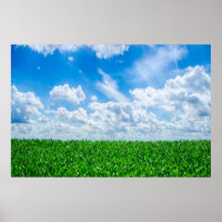 Grünes Gras und blauer Himmel