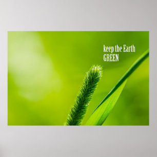 Grünes Gras und Sonne - das Grün der Erde Behalten Poster