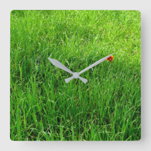 Grünes Grasfeld Quadratische Wanduhr