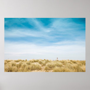 Grünes Grasfeld unter blauem Himmel Poster