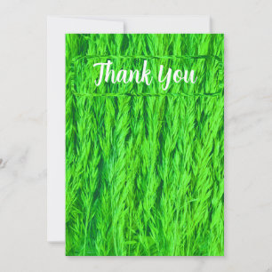 Grünes Grasfutter Foto Dankeskarte
