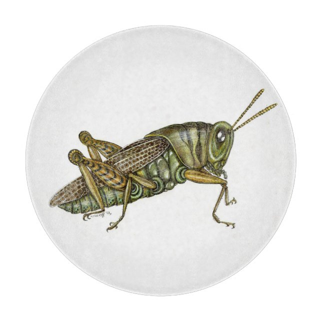 Grünes Grasshopper-Tischset Schneidebrett (Vorderseite)