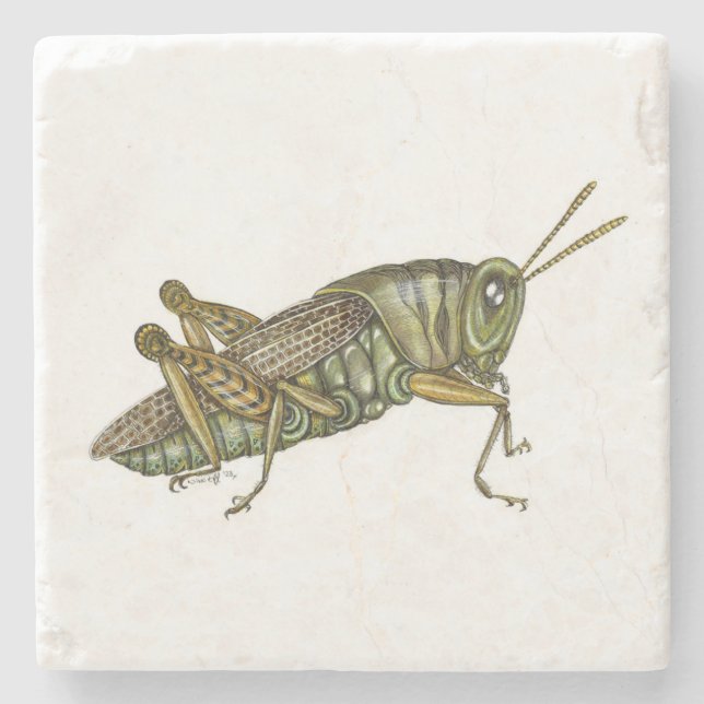 Grünes Grasshopper-Tischset Steinuntersetzer (Vorderseite)