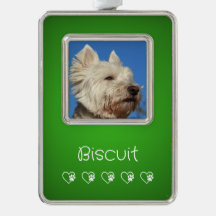 Grünes Haustier-Foto-Ornament - Rahmen, Name des H