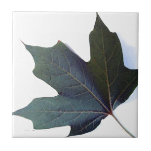 Grünes Leaf Fliese