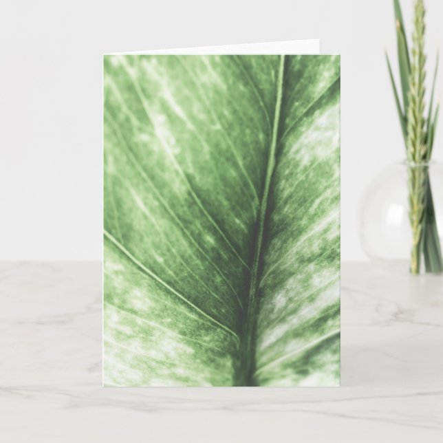 Grünes Leaf-Foto Karte (Vorderseite)