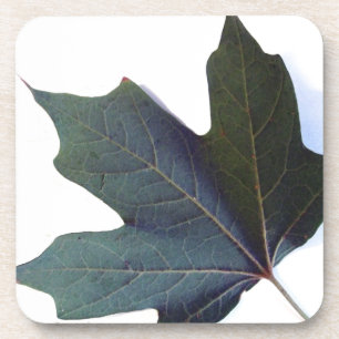 Grünes Leaf Getränkeuntersetzer