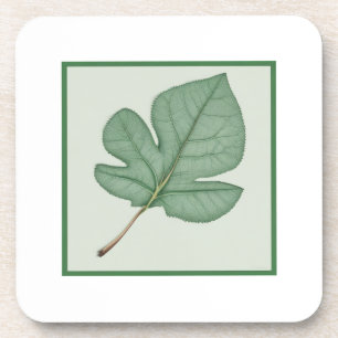 Grünes Leaf Getränkeuntersetzer