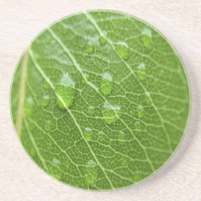 Grünes Leaf Getränkeuntersetzer (Vorne)