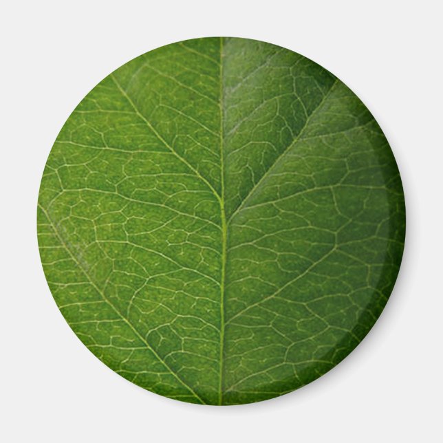 Grünes Leaf Magnet (Vorne)
