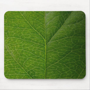 Grünes Leaf Mousepad