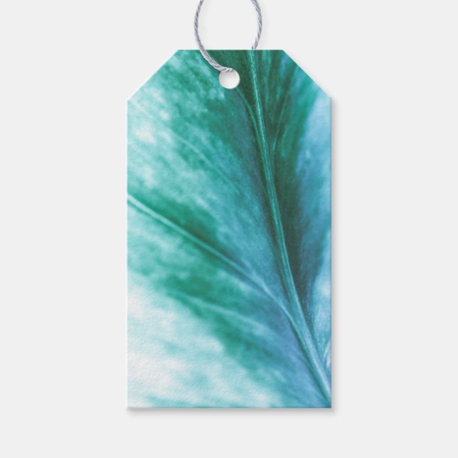 Grünes Leaf Nature Foto Geschenkanhänger (Vorderseite)