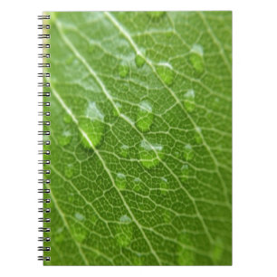 Grünes Leaf Notizblock
