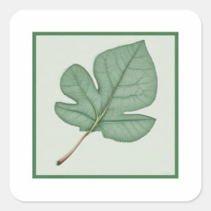 Grünes Leaf Quadratischer Aufkleber