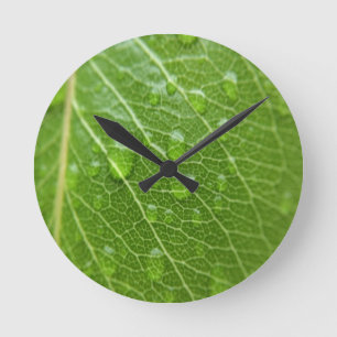 Grünes Leaf Runde Wanduhr