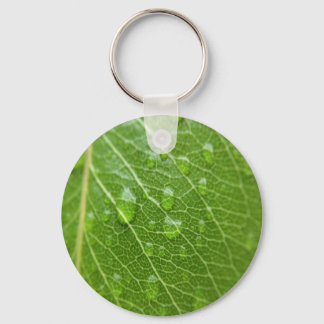 Grünes Leaf Schlüsselanhänger
