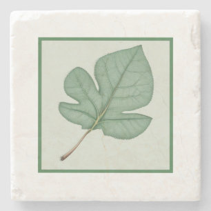 Grünes Leaf Steinuntersetzer
