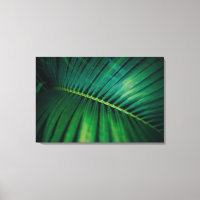 Grünes Leaf Tropenwald Foto