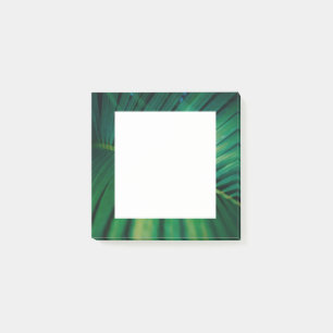 Grünes Leaf Tropenwald Foto Post-it Klebezettel
