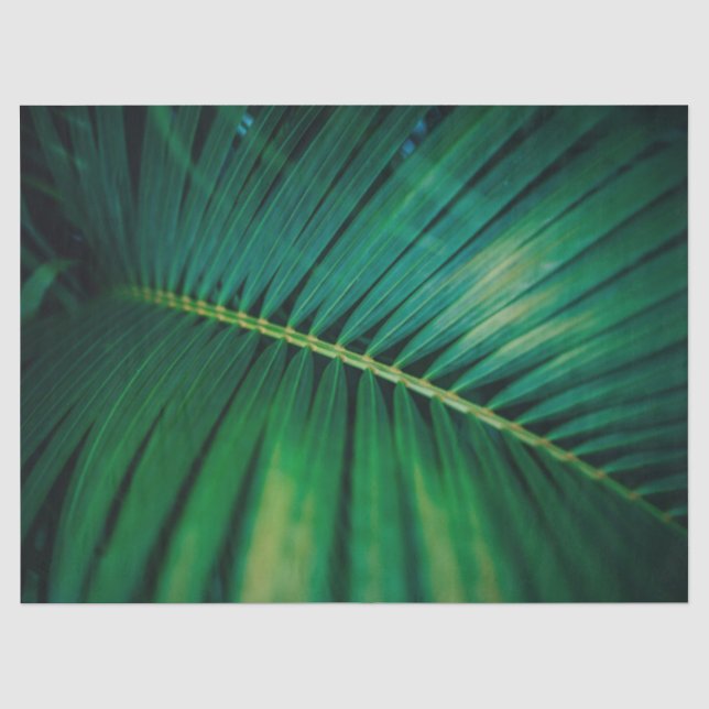 Grünes Leaf Tropenwald Foto Seidenpapier (Vorderseite)