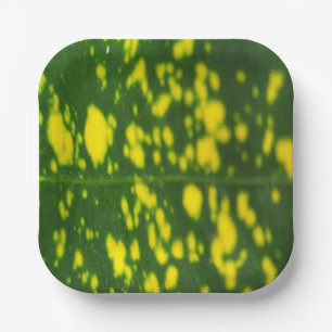 Grünes Leaf und gelbes Dot Design 7" Square Pappteller