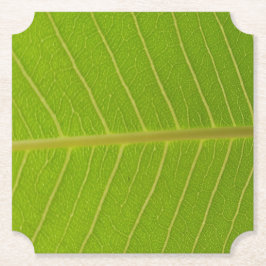 Grünes Leaf und hellgelbe Liniendesign Untersetzer