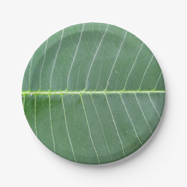 Grünes Leaf und hellweiße Linie Design 7" Runde Pappteller (Vorderseite)