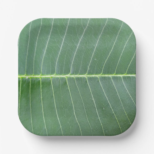 Grünes Leaf und hellweiße Linie Design 7" Square Pappteller (Vorderseite)