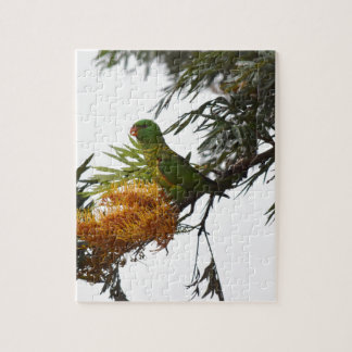 GRÜNES LORIKEET IN LÄNDLICHEM QUEENSLAND PUZZLE