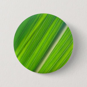 Grünes Maisblattdesign Button