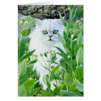 Grünes mit Augen Monster