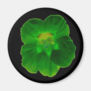 Grünes Nasturtium Magnet
