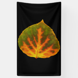 Grünes Orange und gelbes Aspen Leaf #1 Banner