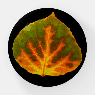 Grünes Orange und gelbes Aspen Leaf #1 Briefbeschwerer