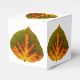 Grünes Orange und gelbes Aspen Leaf #1 Geschenkschachtel
