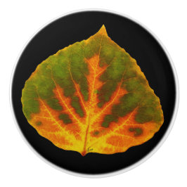 Grünes Orange und gelbes Aspen Leaf #1 Keramikknauf