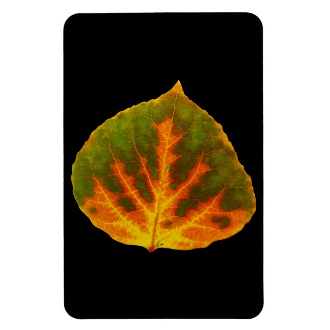 Grünes Orange und gelbes Aspen Leaf #1 Magnet (Vertikal)